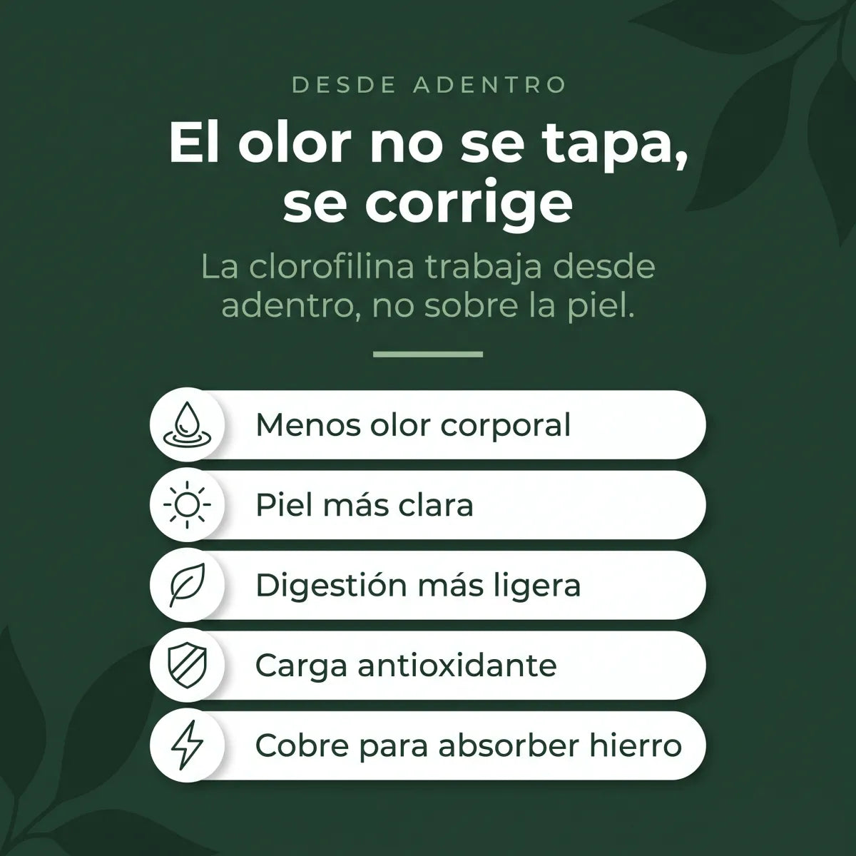 Cinco beneficios de la clorofilina explicados