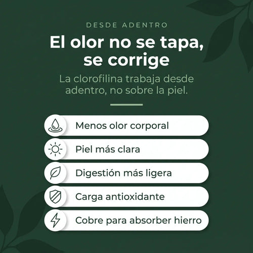 Cinco beneficios de la clorofilina explicados