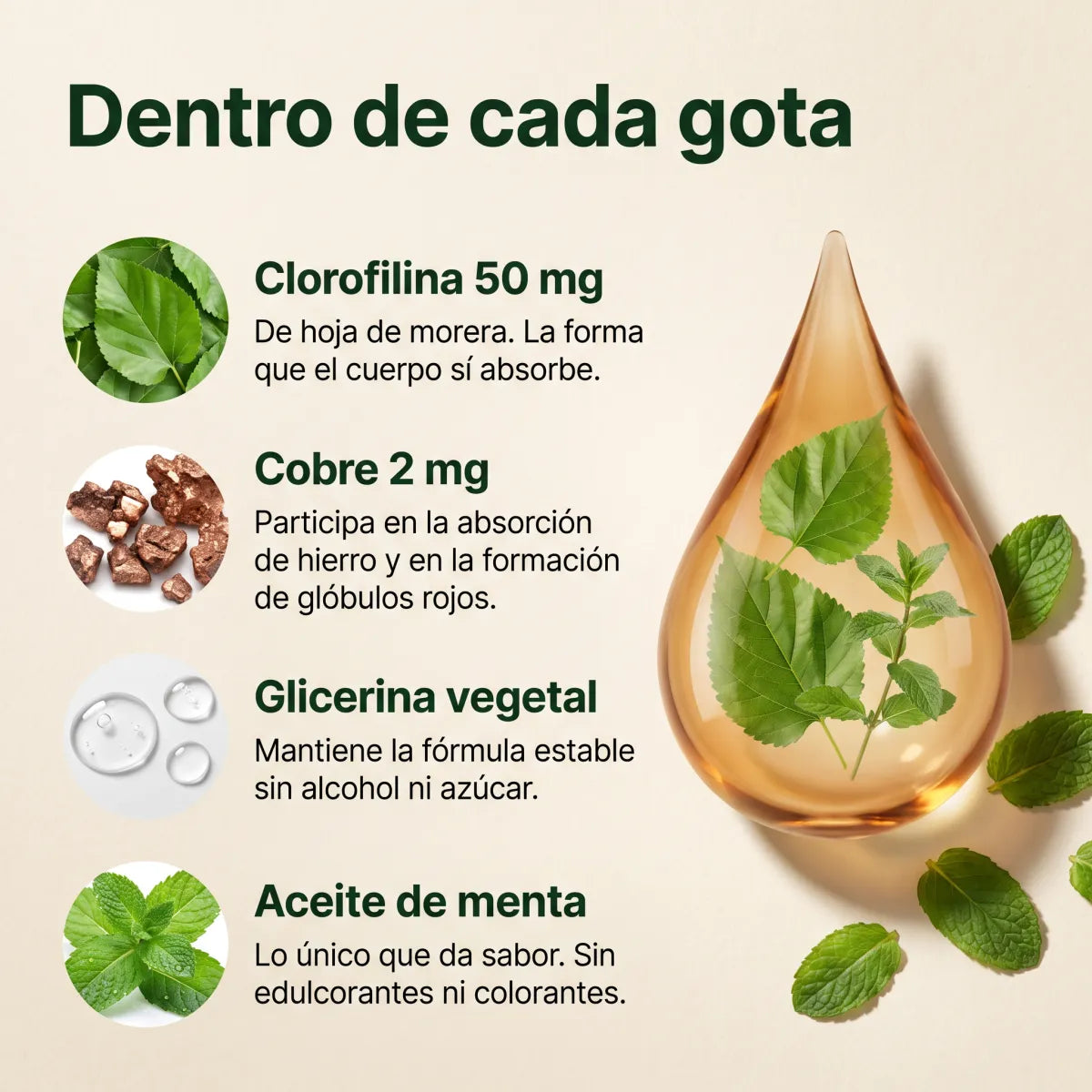 Los cinco ingredientes: clorofilina, cobre, glicerina, agua y menta